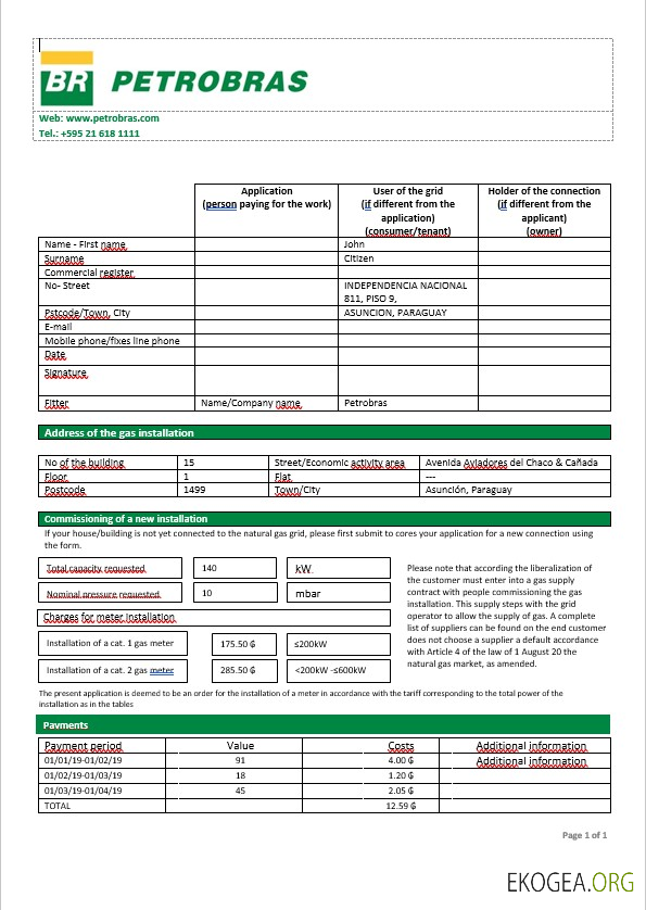 Paraguay Petrobras paraguay operations and logistics gas company in word format template
